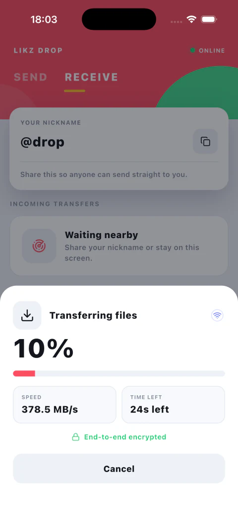 Likz Drop receive screen for a shared group file